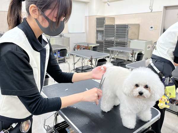 １年生のトリミング♪